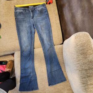 Democracy Absolution Flare Jeans in Classic Blue